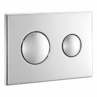 DUAL FLUSH PLATE