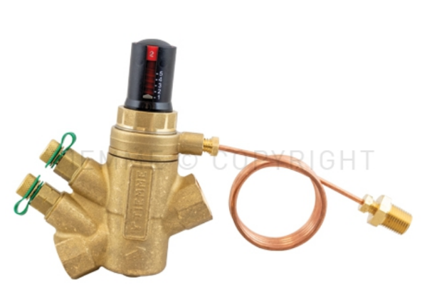 6538 BALANCING AND PRESSURE DIFFERENTIAL VALVE 1" FF DN25