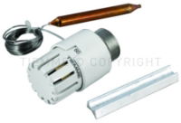 3890TTVD THERMOSTATIC HEAD FOR 4500515/6